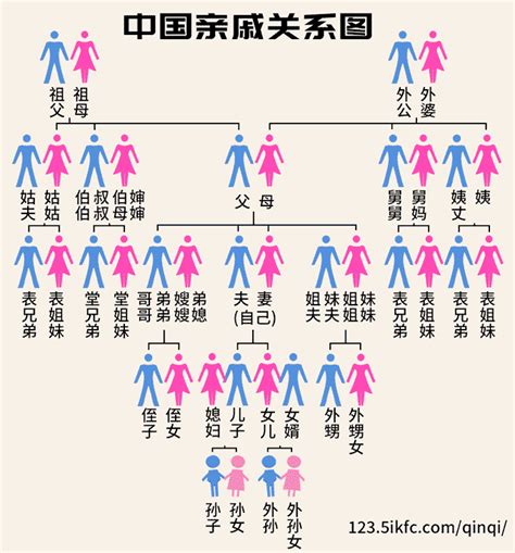 家庭叫法|亲戚关系称呼 中国人亲戚关系图表 在线家庭亲戚关系计算器